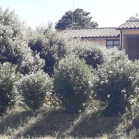Scacco Matto